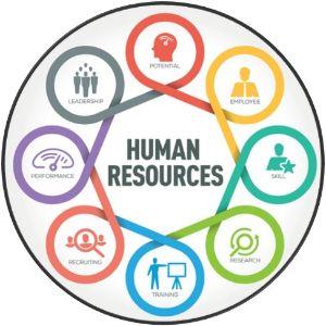 Human Resources image